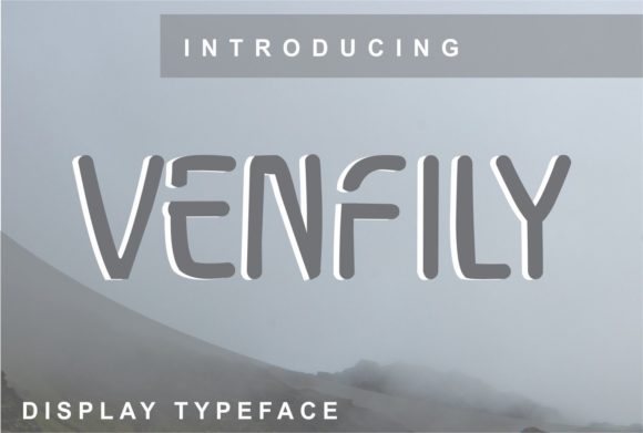 A Real-World Review: Testing the Venfily Display Font