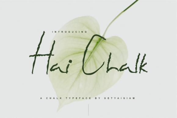 Hai Chalk Font Review: A Laid-Back Display Typeface Tested in Real Branding