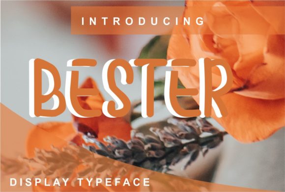 Why the Bester Font Is My New Editorial Companion
